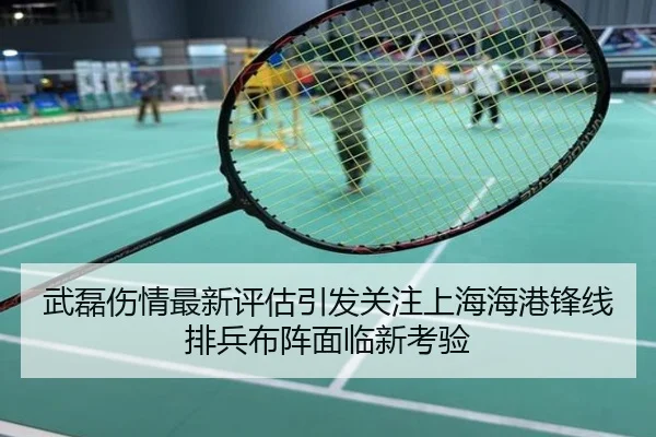 武磊伤情最新评估引发关注上海海港锋线排兵布阵面临新考验