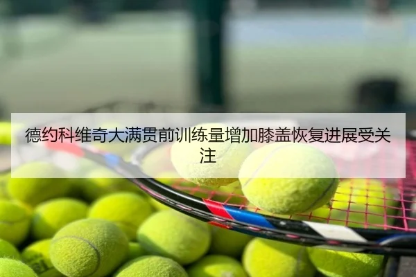 德约科维奇大满贯前训练量增加膝盖恢复进展受关注