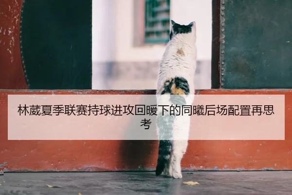 林葳夏季联赛持球进攻回暖下的同曦后场配置再思考